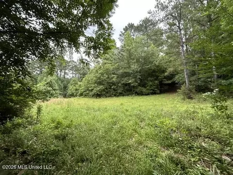 301 Freeman Rd, Summit, MS 39666 photo 26