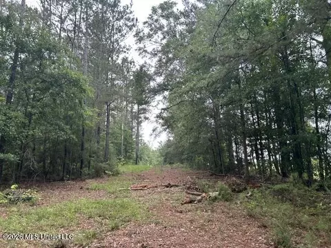 301 Freeman Rd, Summit, MS 39666 photo 3