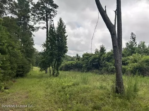 301 Freeman Rd, Summit, MS 39666 photo 40