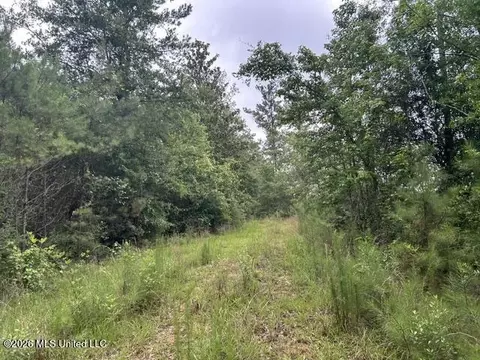 301 Freeman Rd, Summit, MS 39666 photo 5