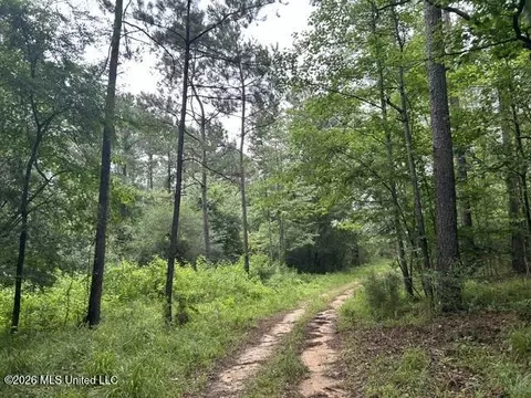 301 Freeman Rd, Summit, MS 39666 photo 34