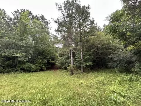 301 Freeman Rd, Summit, MS 39666 photo 28