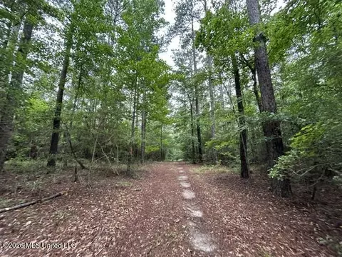 301 Freeman Rd, Summit, MS 39666 photo 12