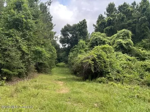 301 Freeman Rd, Summit, MS 39666 photo 24