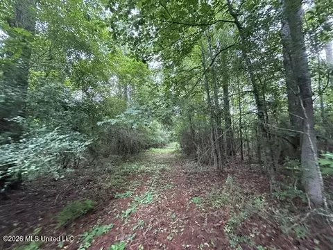 301 Freeman Rd, Summit, MS 39666 photo 29