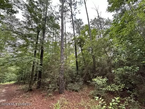 301 Freeman Rd, Summit, MS 39666 photo 13