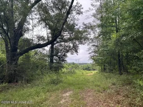 301 Freeman Rd, Summit, MS 39666 photo 35