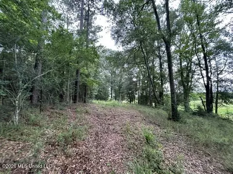 301 Freeman Rd, Summit, MS 39666 photo 9