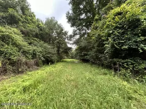 301 Freeman Rd, Summit, MS 39666 photo 25