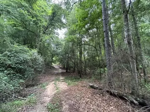 301 Freeman Rd, Summit, MS 39666 photo 21