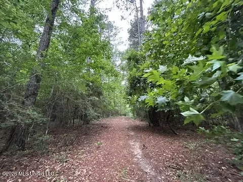 301 Freeman Rd, Summit, MS 39666 photo 11