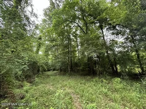 301 Freeman Rd, Summit, MS 39666 photo 30