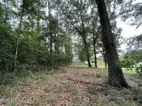 301 Freeman Rd, Summit, MS 39666 photo 10