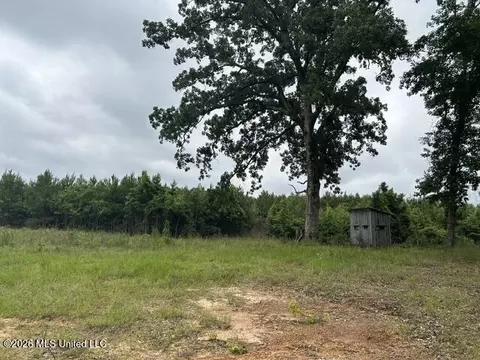 301 Freeman Rd, Summit, MS 39666 photo 37