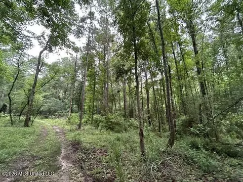 301 Freeman Rd, Summit, MS 39666 photo 19