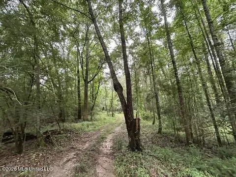 301 Freeman Rd, Summit, MS 39666 photo 18
