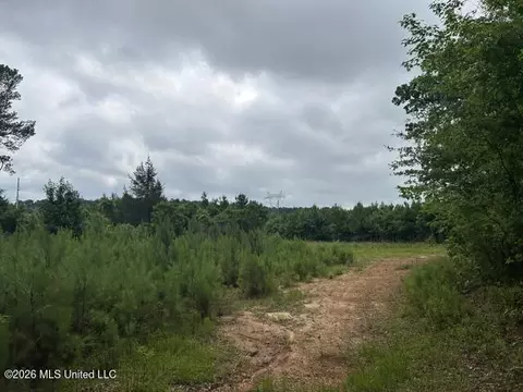 301 Freeman Rd, Summit, MS 39666 photo 36