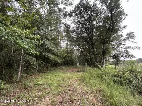 301 Freeman Rd, Summit, MS 39666 photo 8