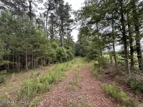 301 Freeman Rd, Summit, MS 39666 photo 7