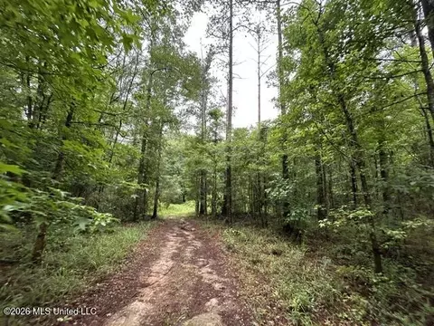 301 Freeman Rd, Summit, MS 39666 photo 15