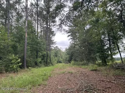 301 Freeman Rd, Summit, MS 39666 photo 4