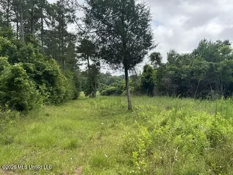 301 Freeman Rd, Summit, MS 39666 photo 39