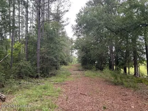 301 Freeman Rd, Summit, MS 39666 photo 2