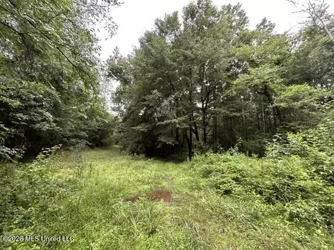 301 Freeman Rd, Summit, MS 39666 photo 17