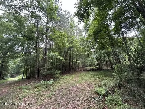 301 Freeman Rd, Summit, MS 39666 photo 20