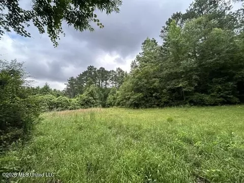 301 Freeman Rd, Summit, MS 39666 photo 27
