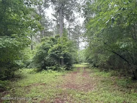 301 Freeman Rd, Summit, MS 39666 photo 31