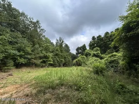 301 Freeman Rd, Summit, MS 39666 photo 23