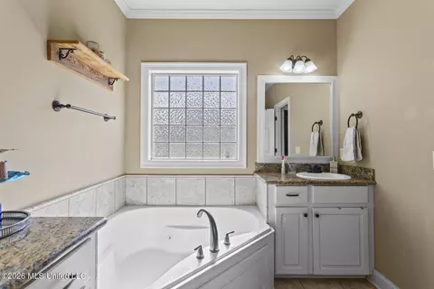 Other - 102 Oak Meadow Ct, Clinton, MS 39056 photo 6 of 7