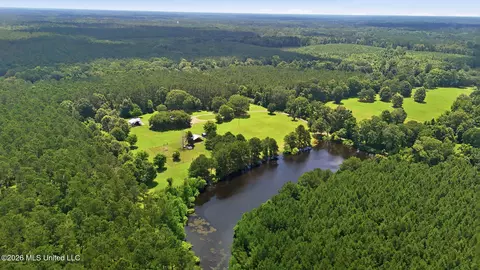 View/Area - 1122 Willis Cotton Rd, Summit, MS 39666 photo 2 of 2