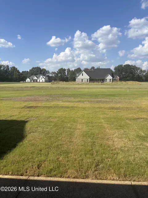 Exterior - 1710 Cane Creek Dr, Hernando, MS 38632 photo 5 of 5