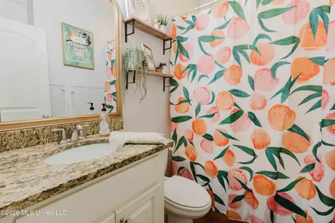 Bath - 212 Bream Pond Ln, Brandon, MS 39047 photo 2 of 2