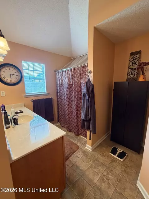 Bath - 328 S Vaiden Ridge Dr, Hernando, MS 38632 photo 1 of 2