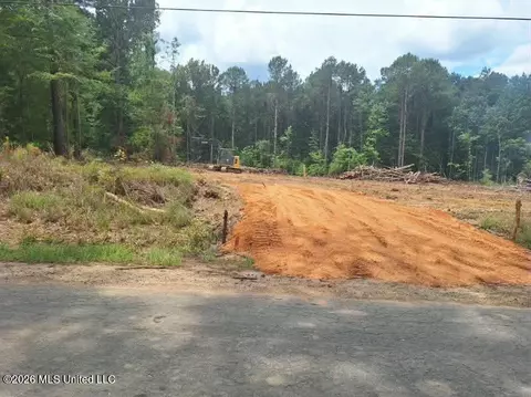 709 Old Pinola Braxton Rd, Braxton, MS 39044