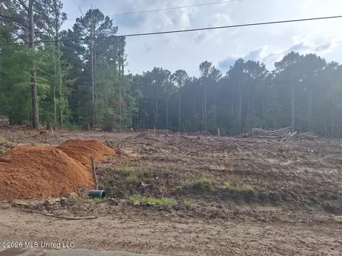 709 Old Pinola Braxton Rd, Braxton, MS 39044