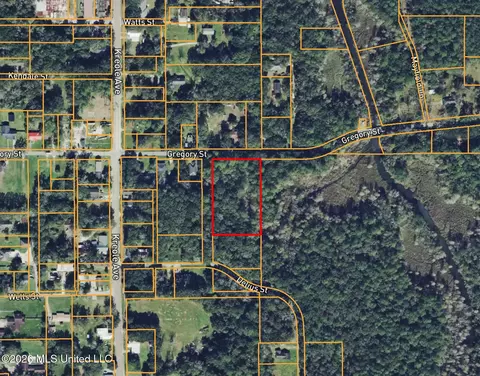 Gregory Street, Moss Point, MS 39563 photo 3