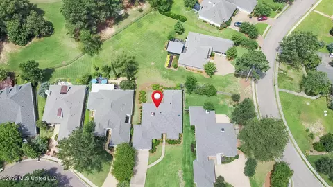 View/Area - 405 Eastpointe Cv, Madison, MS 39110 photo 2 of 5