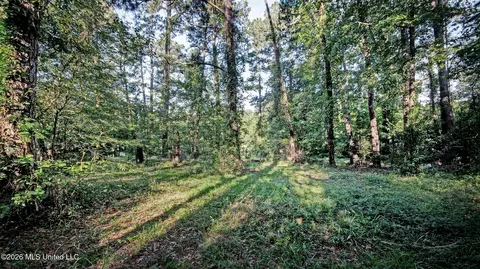 Exterior - 331 Lake Harbor Rd, Brandon, MS 39047 photo 6 of 15