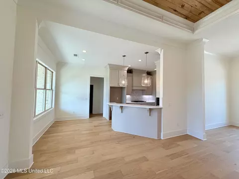 Living - 134 Mission Park Dr, Madison, MS 39110 photo 4 of 4