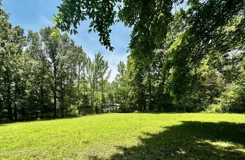 Exterior - 8863 Sheltowee Trl, Hernando, MS 38632 photo 4 of 7