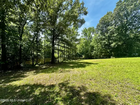 Exterior - 8863 Sheltowee Trl, Hernando, MS 38632 photo 6 of 7