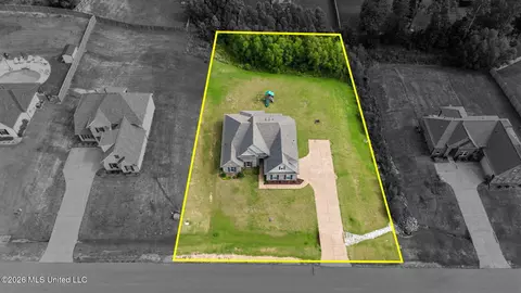 View/Area - 4770 Bakers Trl, Nesbit, MS 38651 photo 1 of 4