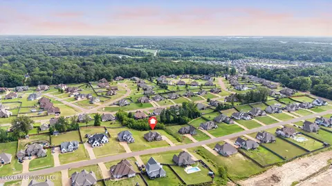 View/Area - 4770 Bakers Trl, Nesbit, MS 38651 photo 2 of 4