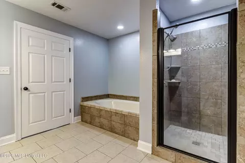 Bath - 17242 E Spring Lake Dr, Vancleave, MS 39565 photo 2 of 5