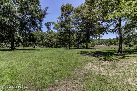 Exterior - 17242 E Spring Lake Dr, Vancleave, MS 39565 photo 16 of 17