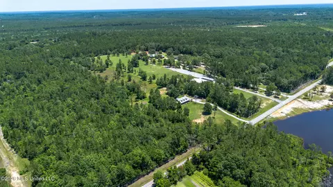 View/Area - 17242 E Spring Lake Dr, Vancleave, MS 39565 photo 5 of 14